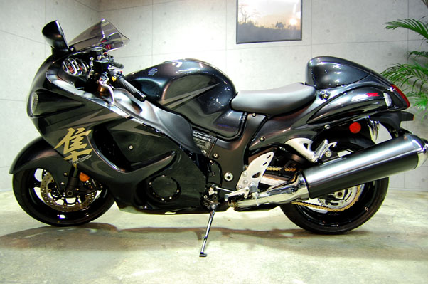 XYLHAYABUSA1300̃KXR[eBO13